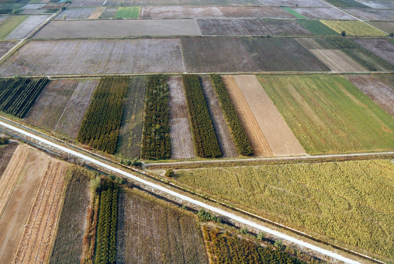 WEB_AERIAL_NAOYSA_RODAKINEONES