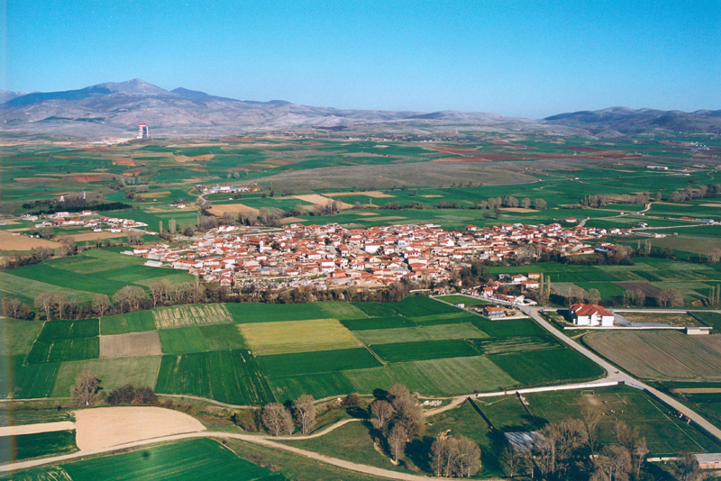 WEB_AERIAL_SITARIA