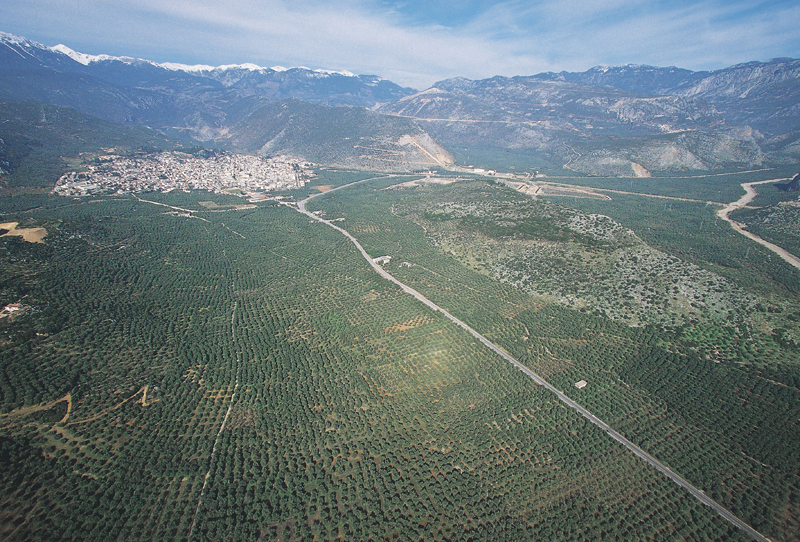 WEB_AERIAL_AMFISSA