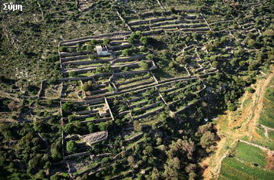 WEB_AERIAL_SYMI