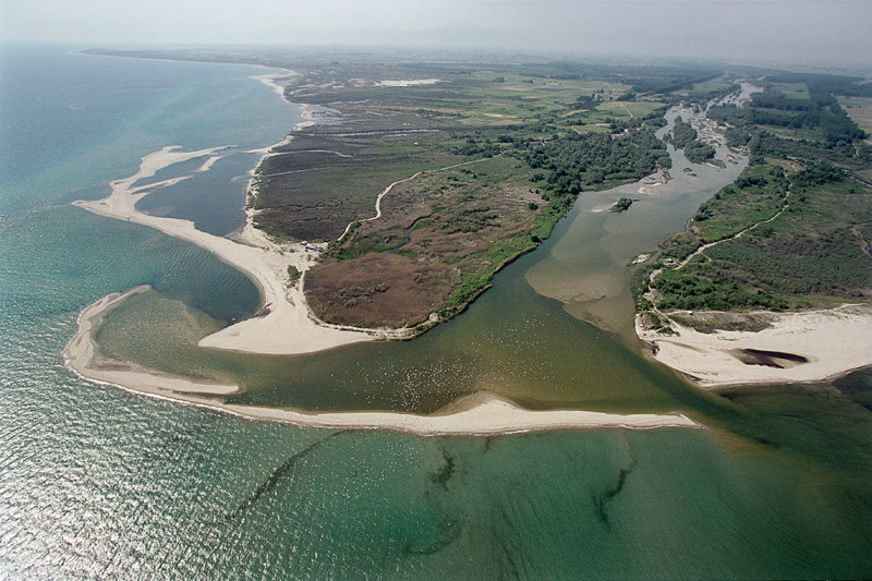 WEB_AERIAL_NEST_E